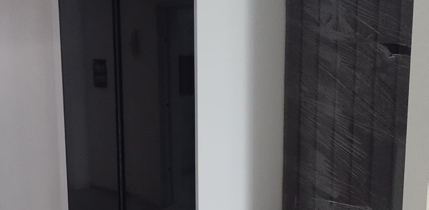 جاکفشی نشیمن دار.jpg